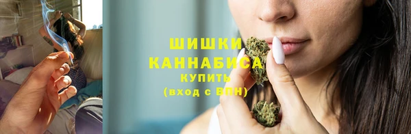 крисы Верея